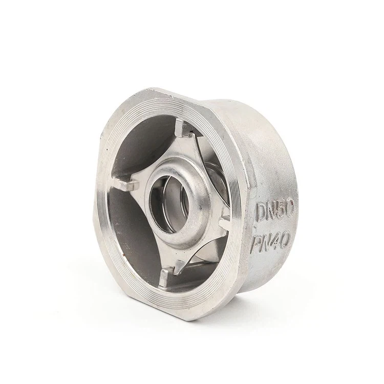 boru hattı için çek valf